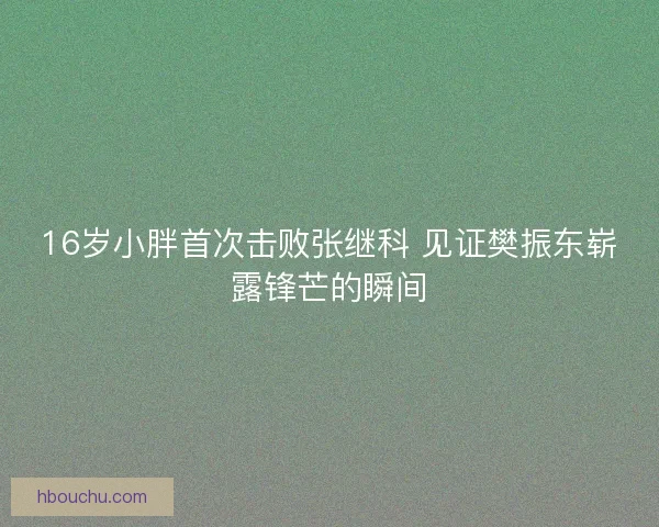 16岁小胖首次击败张继科 见证樊振东崭露锋芒的瞬间